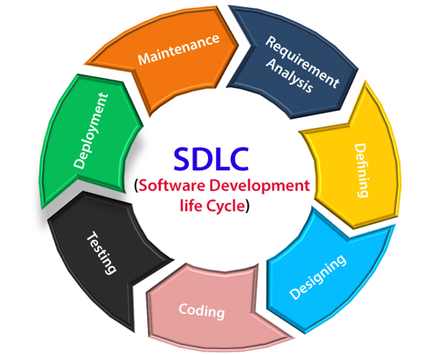 software development life cycle example case study